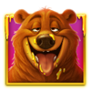 bear crazy bear wild symbol