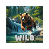 bear spirit bounty wild symbol