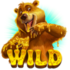 beary wild wild symbol