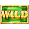 better wilds wild 1 symbol