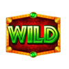 big cat gold wild 2 symbol