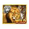 big cats wild symbol