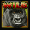 big thunder wild symbol