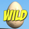 birdz wild symbol