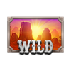bison fortune coins wild symbol