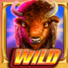 bison wilds doublemax symbol wild 1