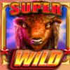 bison wilds doublemax symbol wild 2