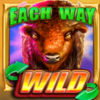 bison wilds doublemax symbol wild 4