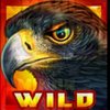 black eagle triple shot wild symbol