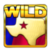 black gold wheel of riches wild1 symbol