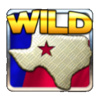 black gold wheel of riches wild2 symbol