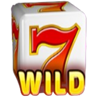 blazing coins 40 dice wild symbol