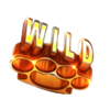 bling boyz wild 1 symbol