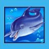 blue dolphin wild symbol