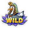boat bonanz croconile wild symbol