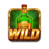 bonus bullets wild symbol