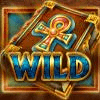 book of queen wild symbol