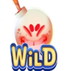 boom berries wild 5 symbol