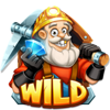 boom boom mine em all wild symbol