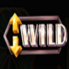 boost it expandedwild symbol