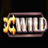 boost it randomwild symbol