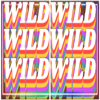 booze bash wild symbol