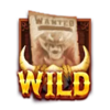 bounty frenzy wild symbol