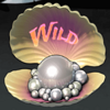 bounty on the high seas wild symbol