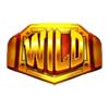 boxing king title match wild 1 symbol