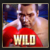 boxing wild symbol