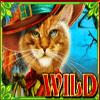 brave cat wild symbol
