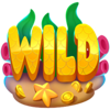 bubblin riches wild symbol