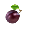 bubbly fruits wild symbol