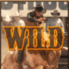 buckin broncos wild symbol