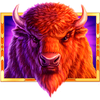 buffalo 50 bull wild symbol