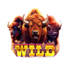 buffalo coin rush wild symbol