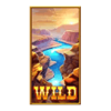 buffalo dale grandways wild symbol