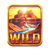 buffalo gold canyon wild symbol