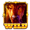 buffalo hold and hit symbol wild