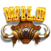 buffalo hold and win 1