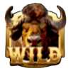 buffalo rage wild symbol