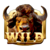 buffalo splash wild 1 symbol