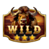 buffalo splash wild 2 symbol