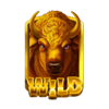 buffalo super stars wild symbol