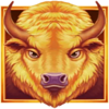 buffalos sun 2 wild symbol