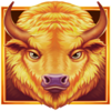 buffalos sun 3 wild symbol