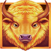 buffalos sun wild symbol