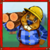 builder beaver wild symbol
