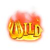 burning coins 100 wild symbol