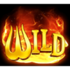 burning coins 40 wild symbol